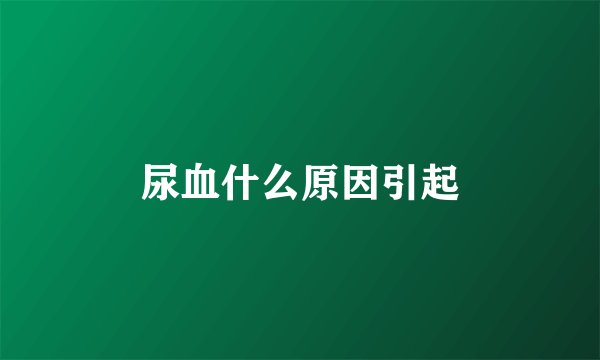 尿血什么原因引起