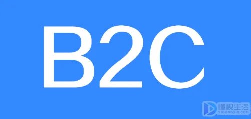 电子商务b2c是什么意思