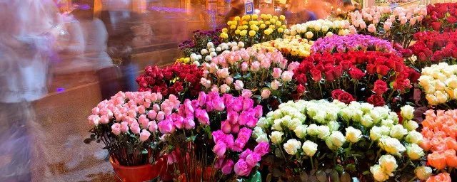 4月开什么花