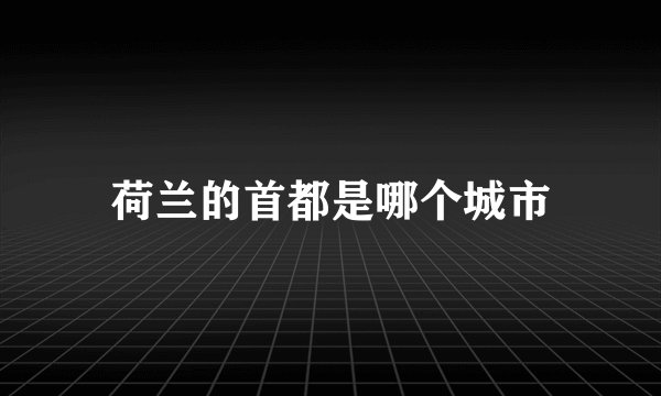 荷兰的首都是哪个城市