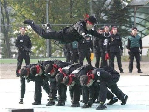 特警擒拿格斗实战绝技十六法的内容简介