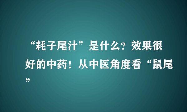 “耗子尾汁”是什么?效果很好的中药!从中医角度看“鼠尾”