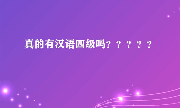 真的有汉语四级吗?????