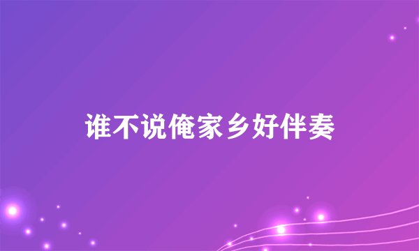 谁不说俺家乡好伴奏