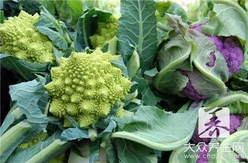  花青素含量排名