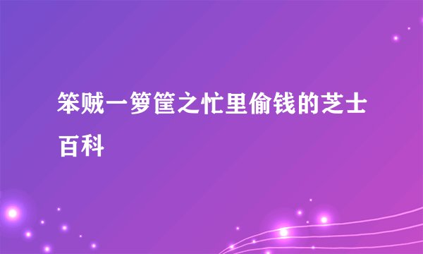 笨贼一箩筐之忙里偷钱的芝士百科