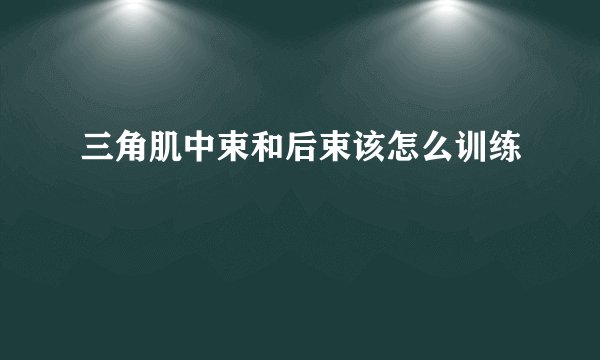三角肌中束和后束该怎么训练