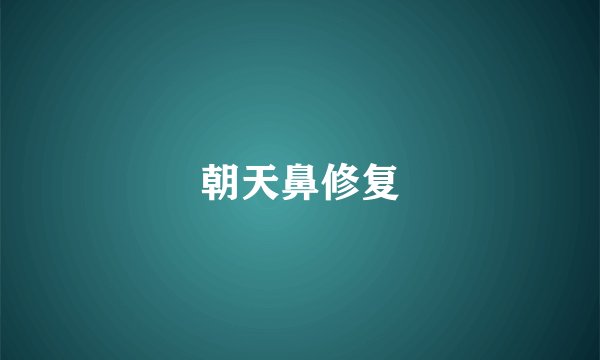 朝天鼻修复