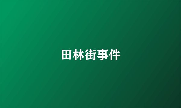 田林街事件