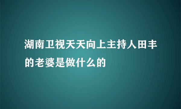 湖南卫视天天向上主持人田丰的老婆是做什么的