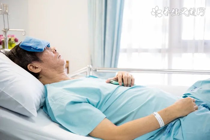什么动物喜欢睡觉