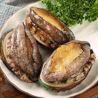 鲍鱼