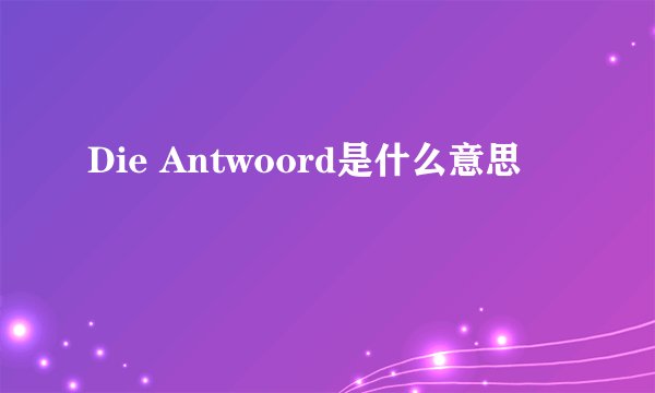 Die Antwoord是什么意思