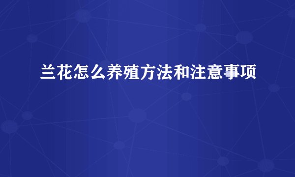 兰花怎么养殖方法和注意事项