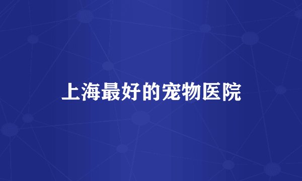 上海最好的宠物医院
