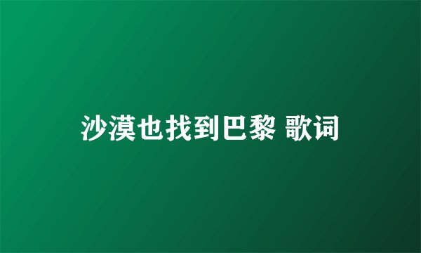 沙漠也找到巴黎 歌词