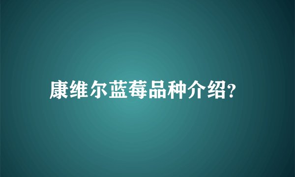 康维尔蓝莓品种介绍？