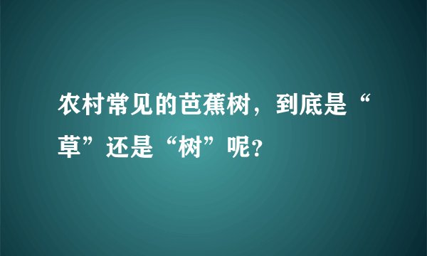 农村常见的芭蕉树，到底是“草”还是“树”呢？