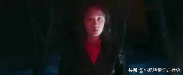 如何解读毛不易《水乡》MV?