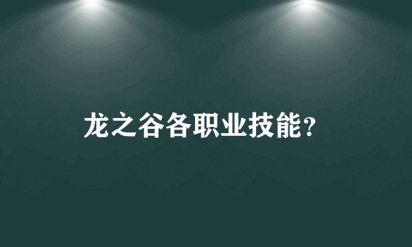 龙之谷各职业技能?