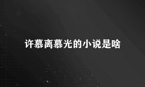 许慕离慕光的小说是啥