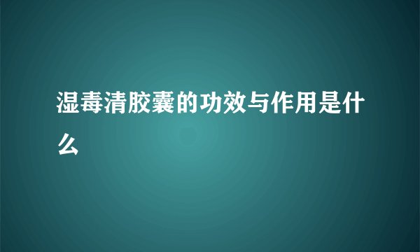 湿毒清胶囊的功效与作用是什么