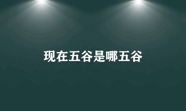 现在五谷是哪五谷