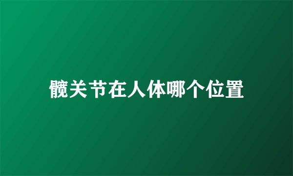 髋关节在人体哪个位置
