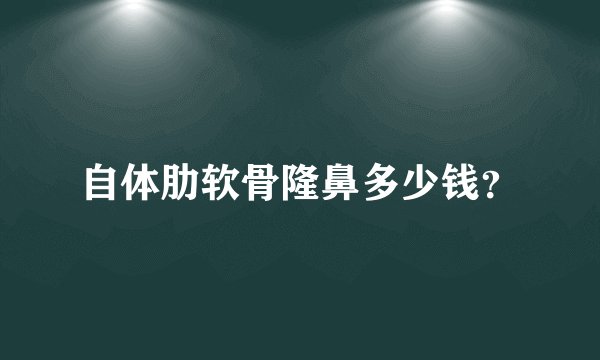 自体肋软骨隆鼻多少钱？