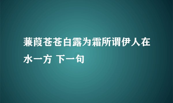 蒹葭苍苍白露为霜所谓伊人在水一方 下一句