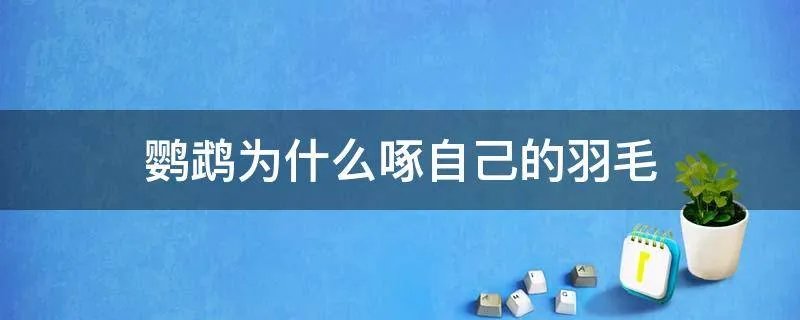 鹦鹉为什么啄自己的羽毛