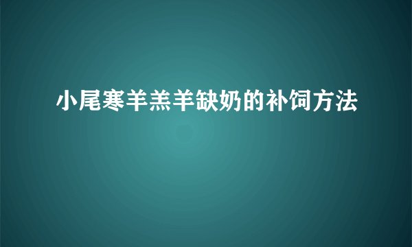 小尾寒羊羔羊缺奶的补饲方法