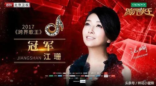 有哪些唱功很好的跨界歌手?