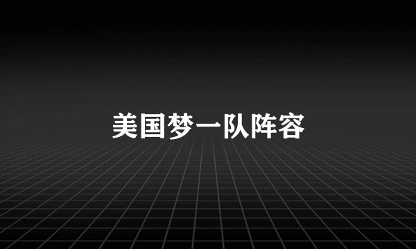 美国梦一队阵容