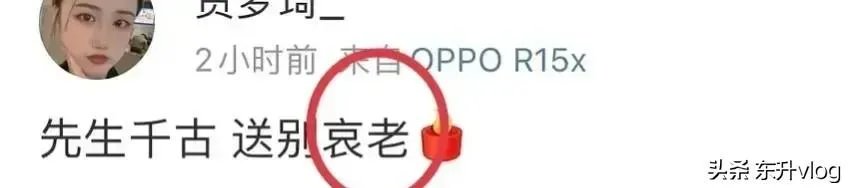 袁隆平院士逝世,为什么张庭照常直播被网友骂哭?