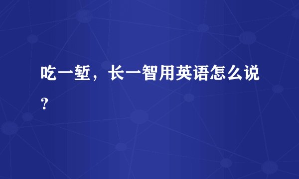 吃一堑，长一智用英语怎么说？