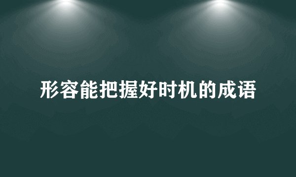 形容能把握好时机的成语