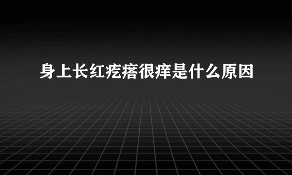 身上长红疙瘩很痒是什么原因