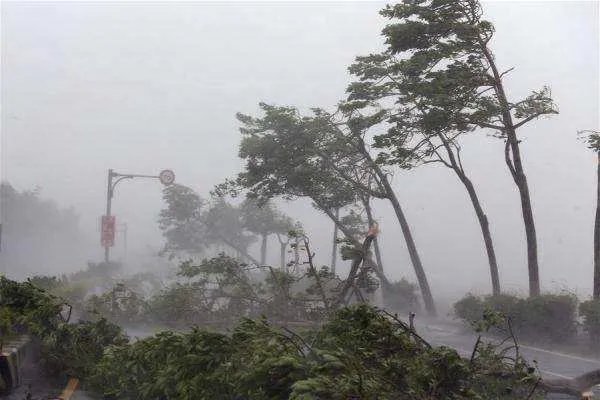 今年首个台风红色预警，中国哪些城市经常被台风光顾？