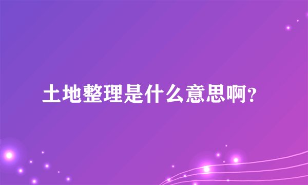土地整理是什么意思啊？