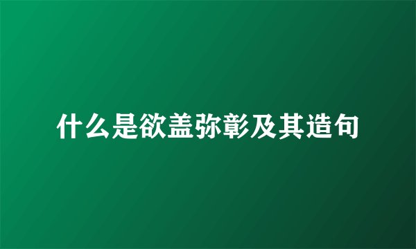 什么是欲盖弥彰及其造句
