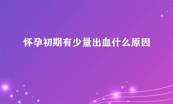 怀孕初期有少量出血什么原因
