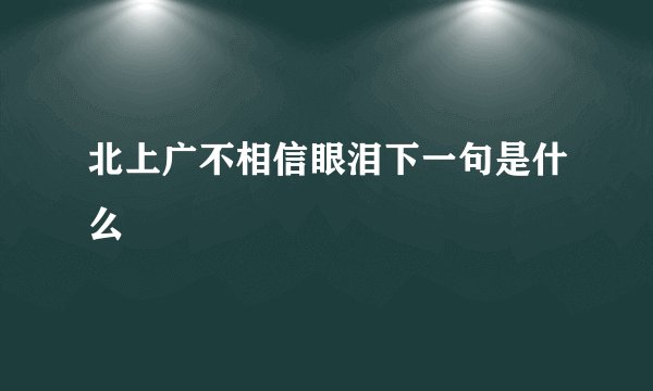 北上广不相信眼泪下一句是什么
