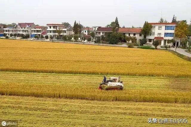 未来我国农机化发展趋势是怎样的?