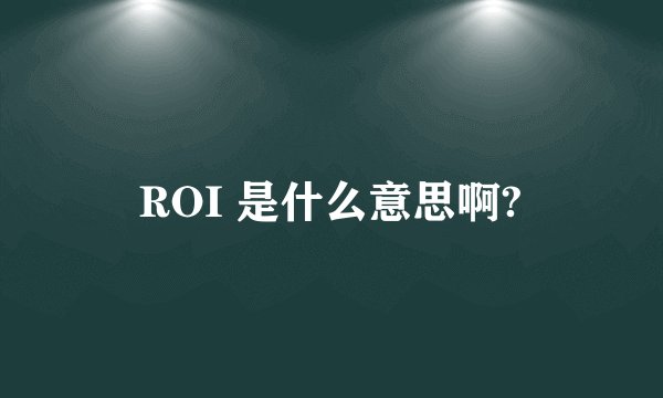 ROI 是什么意思啊?