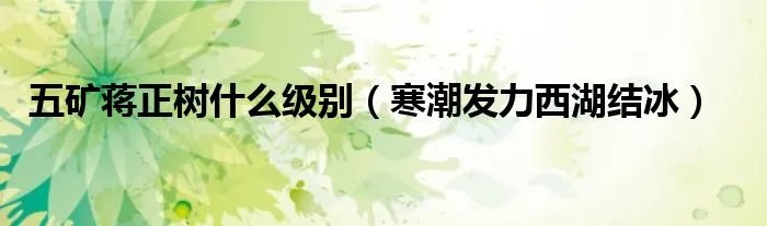 五矿蒋正树什么级别（寒潮发力西湖结冰）