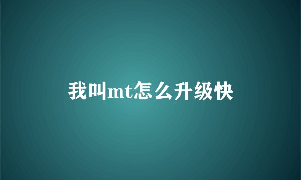 我叫mt怎么升级快