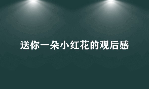 送你一朵小红花的观后感