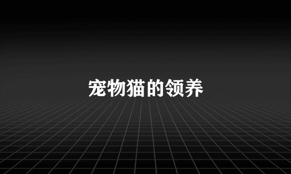 宠物猫的领养