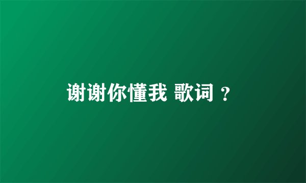 谢谢你懂我 歌词 ？